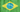 TracyDom Brasil